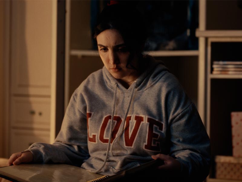 La historia sigue a Camila, una joven que revive, a través de un álbum de fotos navideño, recuerdos de las críticas de personas cercanas.