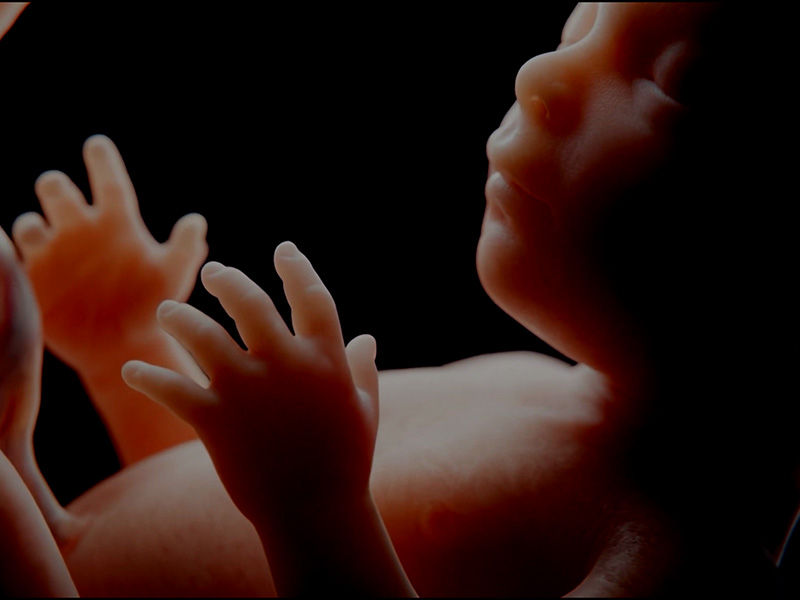 La campaña busca conectar el sentimiento de protección con la tecnología más avanzada de la marca: un equipo silencioso, eficiente y capaz de climatizar inteligentemente el hogar.