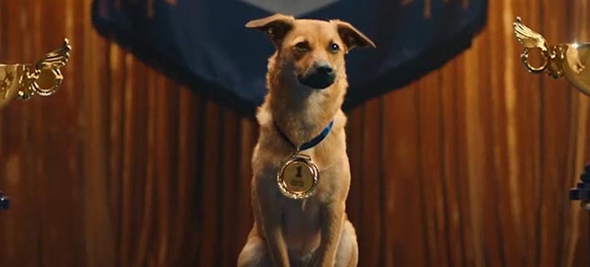 Warc Effective 100: Almap BBDO se ubica en el primer lugar del listado de agencias