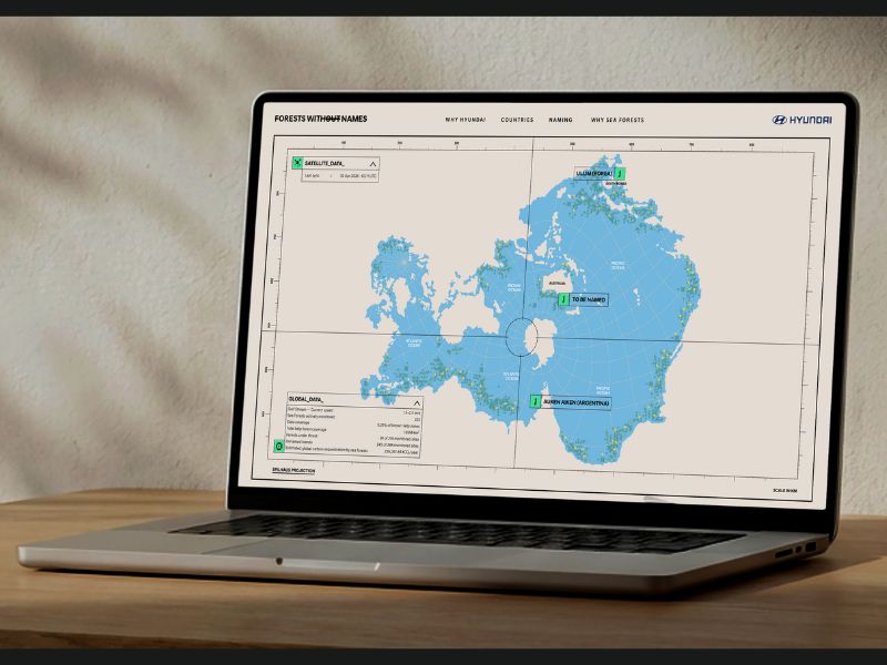  El mapa combina datos de ONG sobre bosques marinos con información oceánica de The Weather Company, como temperatura del mar y patrones de tormentas.