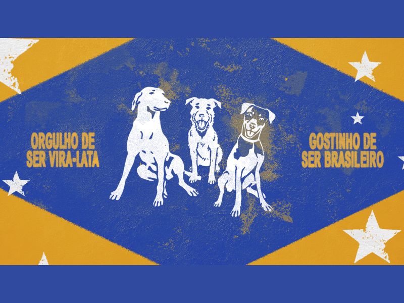 "El perro mestizo forma parte de la historia de millones de brasileños y creemos que merece ser celebrado como símbolo de afecto, compañerismo y orgullo", indicó Ricardo Marinho, gerente de marketing de Pedigree. 
