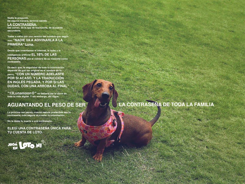 PetPasswords muestra la vulnerabilidad de los usuarios en el entorno digital.