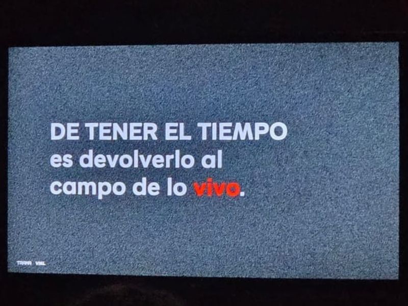 En un contexto donde el tiempo libre es llamado “tiempo muerto”, una forma de resistencia -y de detenimiento- es transformarlo en tiempo vivo. 