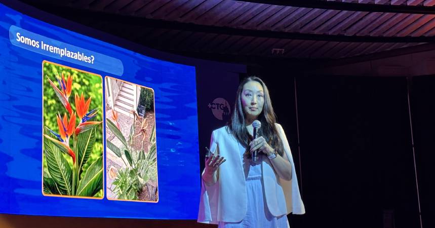Rebeca Hwang: “Los seres humanos anhelamos la conexión con otros y somos los únicos capaces de generarla”