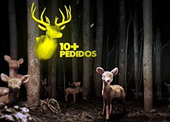 MTV renovó su pantalla en la región